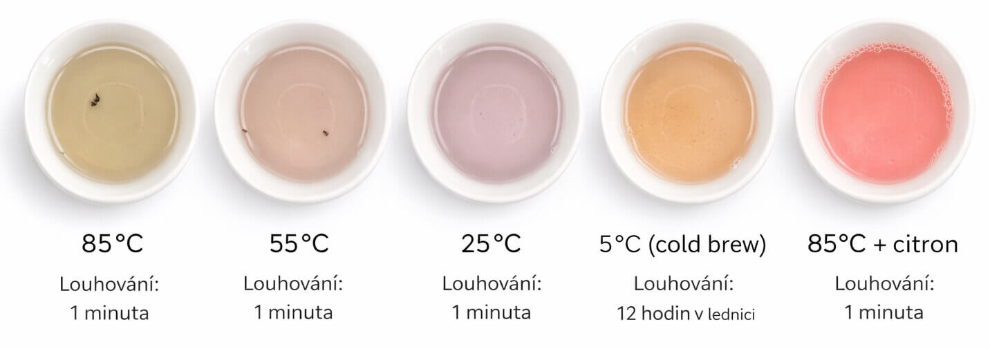 Kericho Amethyst Purple – barva a chuť podle teploty