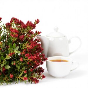 Vše, co potřebujete vědět o červeném čaji Rooibos