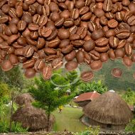 KÁVA PAPUA NOVÁ GUINEA BUNUM WO 100% ARABICA