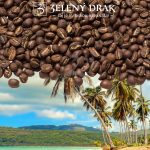 ČERSTVÁ KÁVA DOMINIKÁNSKÁ REPUBLIKA FINCA SAN DOMINGO