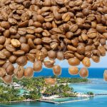 ČERSTVÁ KÁVA HONDURAS FINCA SPECIAL