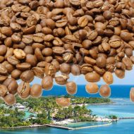 ČERSTVÁ KÁVA HONDURAS FINCA SPECIAL