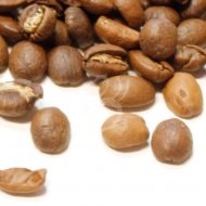 ČERSTVÁ KÁVA HONDURAS FINCA SPECIAL - Obrázek 3