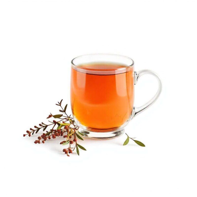 Vše co potřebujete vědět o červeném čaji Rooibos