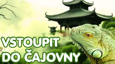 čajovna - kavárna - Zelený Drak