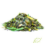 KRÁLOVNA NEFERTITI BIO