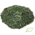 JAPAN GYOKURO KUSANAGI BIO • japonský zelený čaj