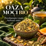 OÁZA MOCI BIO • bylinný čaj
