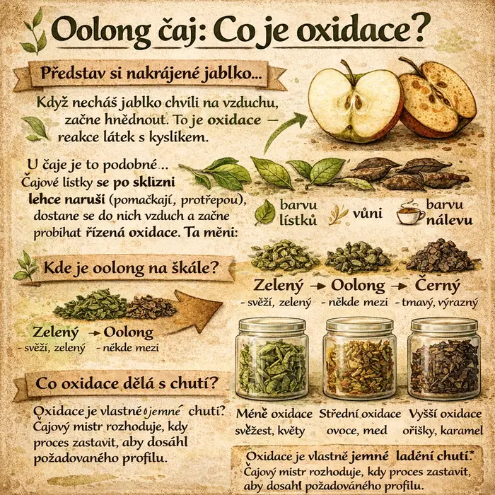 Oolong čaj - co je oxidace - Zelený Drak